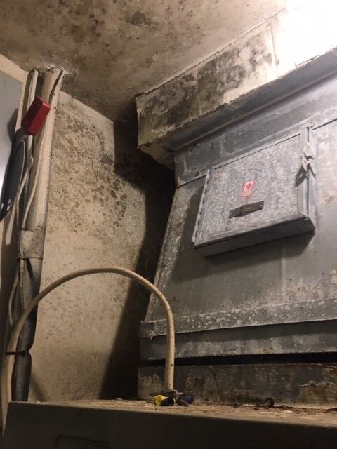 Mold in Clemson dorm utility closet next to student rooms